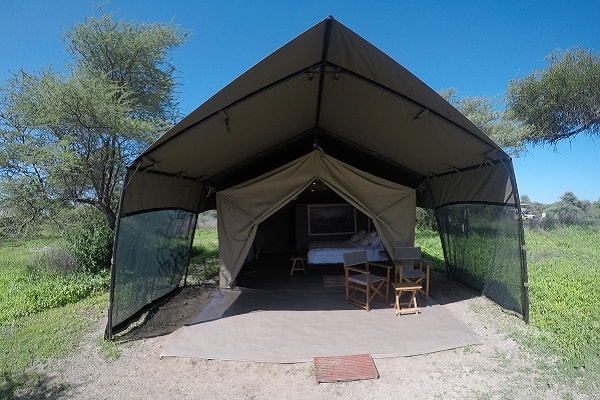 Njozi Camp Guest Tents