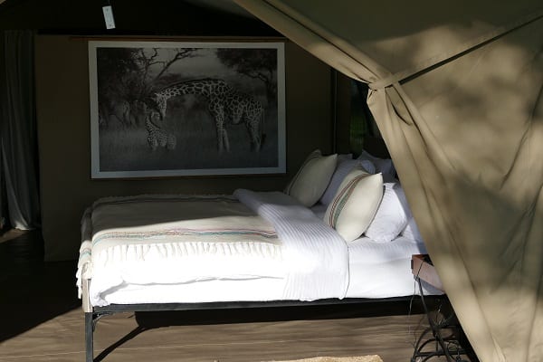 Njozi Camp Guest Tent
